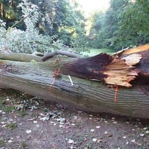 storm2jpg
