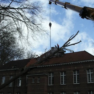 Storm